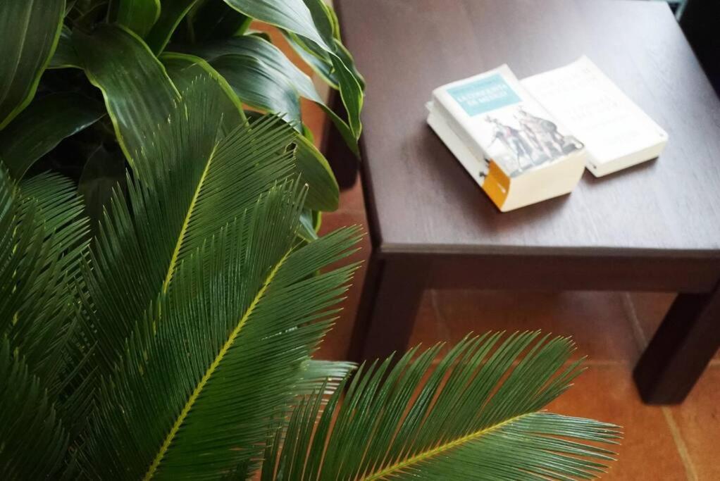 カウイータ Casa Moesヴィラ エクステリア 写真